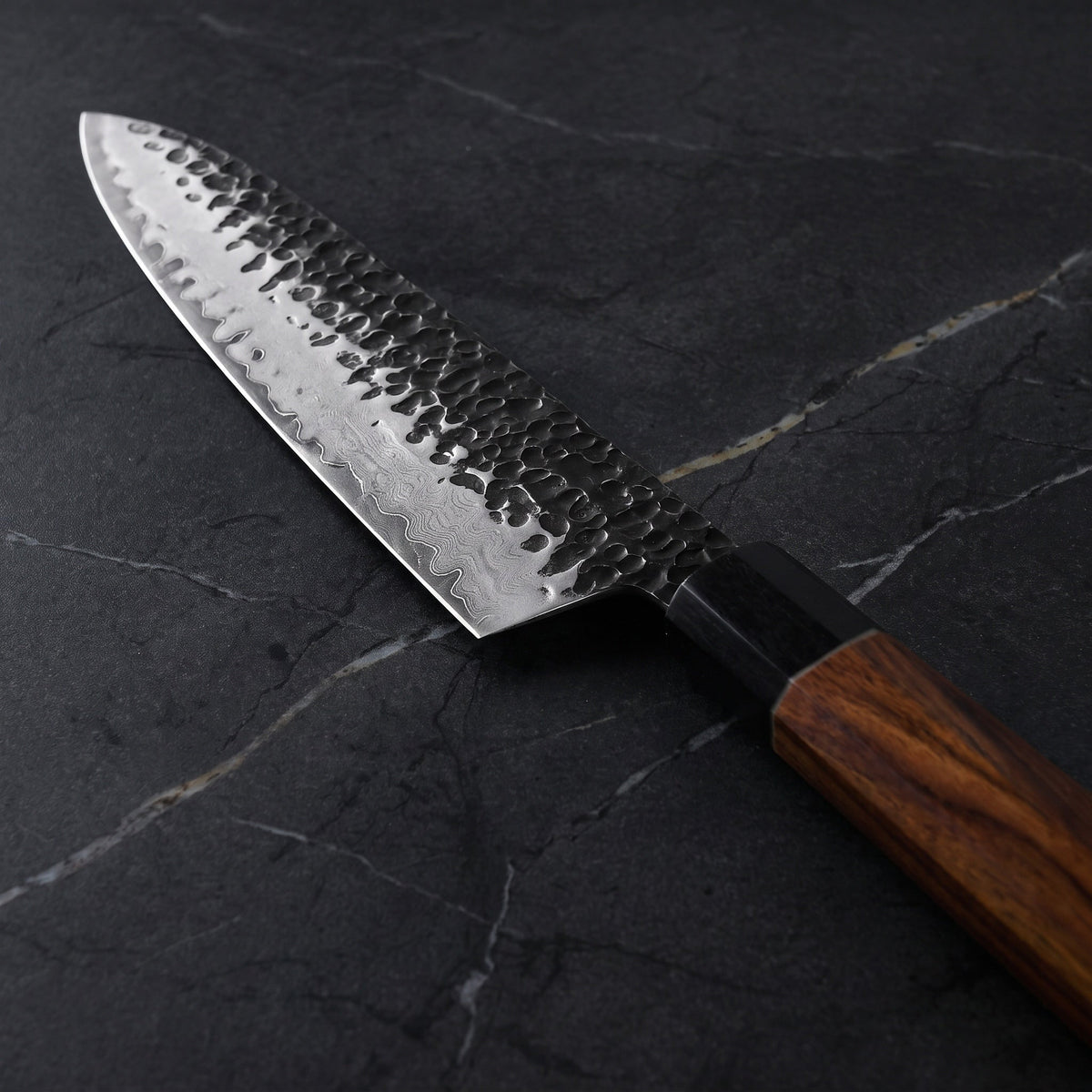 Reppu Gyuto Chef Knife - macro