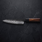Reppu Knife Set - Gyuto